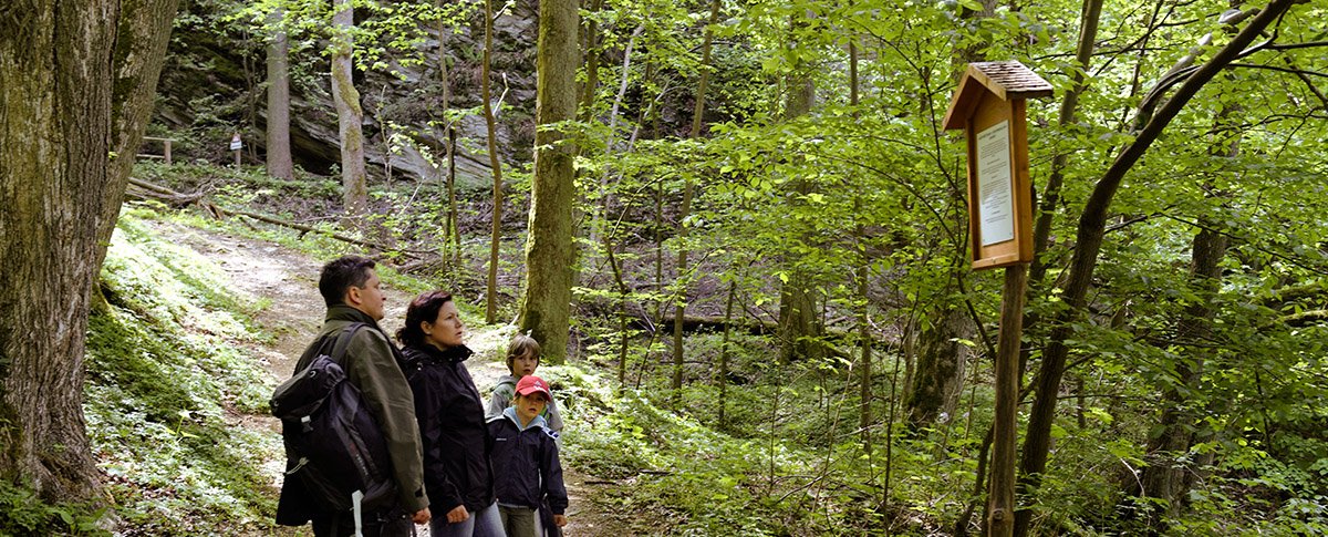 Wandern um Ballenstedt