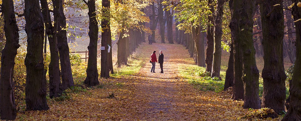 Herbst in Ballenstedt