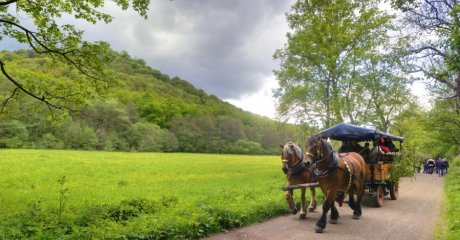 Eine Pferdekutsche in der Nähe von Ballenstedt