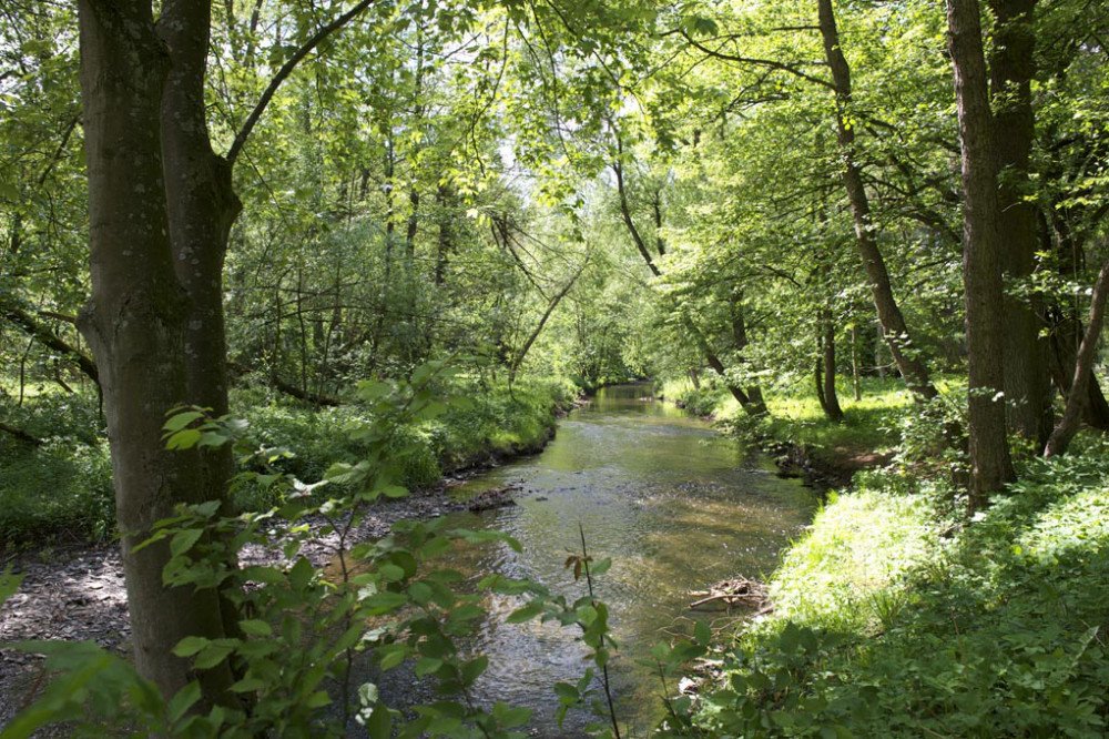 Ein Fluß im Selketal in der Nähe von Ballenstedt