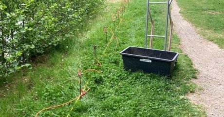 Schlosspark Ballenstedt