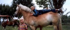 Pferdespaß in der Kita Radisleben