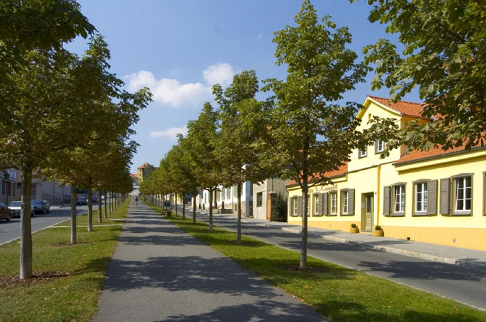 Ballenstedt Allee