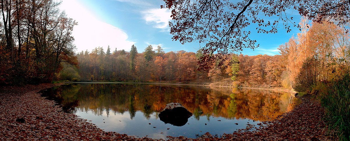 Landschaft um Ballenstedt
