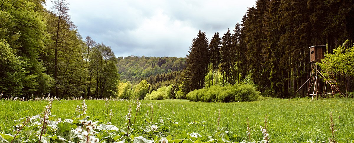 Herzlich willkommen in Ballenstedt