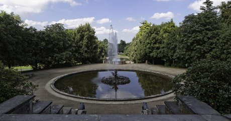 Die Allee im Schlosspark