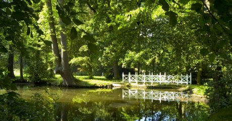 Die wunderschöne Parkbrücke