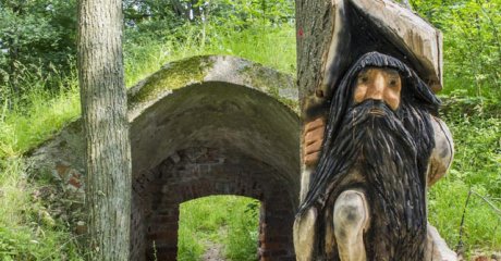 Die Burg Anhalt: Stammburg der anhaltischen Fürsten im Harzer Selketal