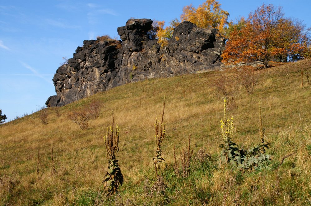 Gegensteine im Naturschutzgebiet